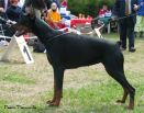 Graziela Betelges on first show in Estonia in youth class was V3 under 9 females