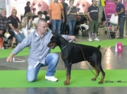 World dog show Paris,France