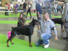World dog show Paris,France