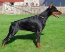 Bianca Betelges 18 months old