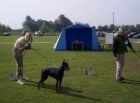 Charming Calina Betelges at her first show