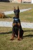 Claudia Betelges - 4 months old