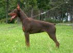Dunja Betelges 7 months old