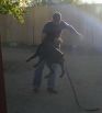 Figaro Betelges during bite work training at age 7 months