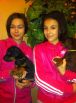 Puppy from Jenifer Betelges and Riker Betelges at age 30 days old
