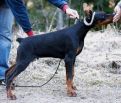 IPSILON BETELGES AT AGE 4 MONTHS