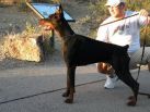 Jasmine Betelges 9 months old in Tuscon, USA
