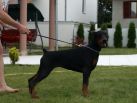 Jenifer Betelges 5 months old