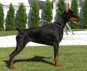 JENIFER BETELGES 8 MONTHS OLD