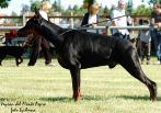 Litter C: Veyron del Monte Aspro - Freya Betelges