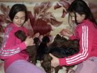 18 days old puppies from Xenia for Betelges del Nasi & Zedor del Nasi