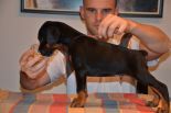 Litter C: Veyron del Monte Aspro - Freya Betelges