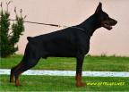 Litter D: Riker Betelges - Jenifer Betelges