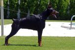Savana Betelges - 2 and half years old