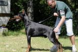 Xanadu Betelges at age 2 years in Austria