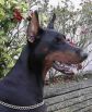 YVONA BETELGES AT 11 MONTHS