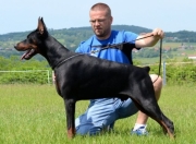 RIKER BETELGES