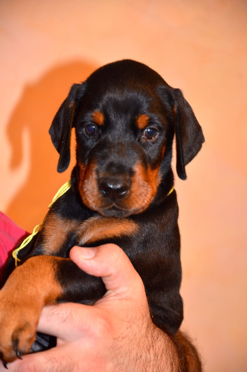 23-12-2014