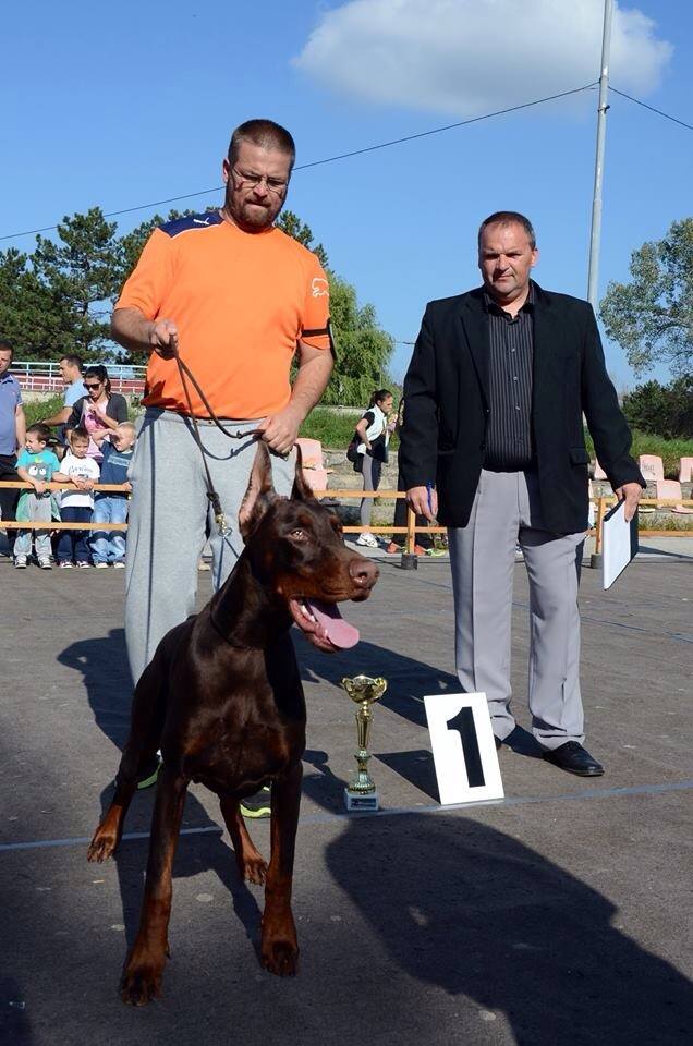 24-10-2014